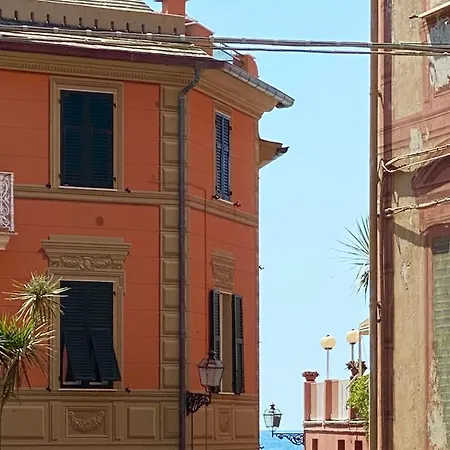 Carruggio 151-1 Sestri Levante